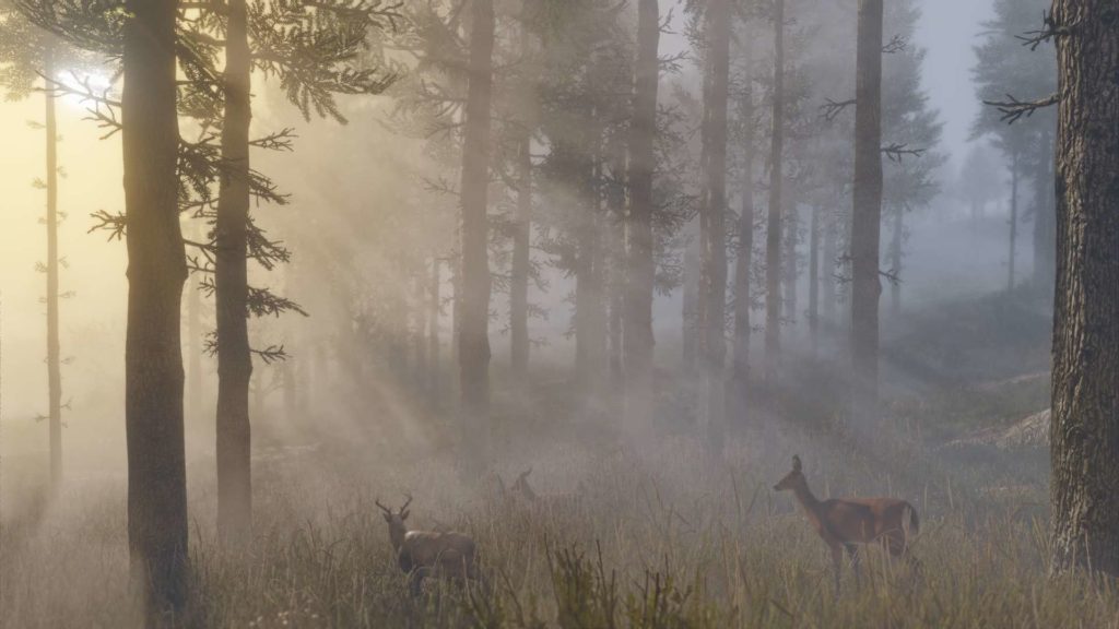 red-dead-redemption-2-biches