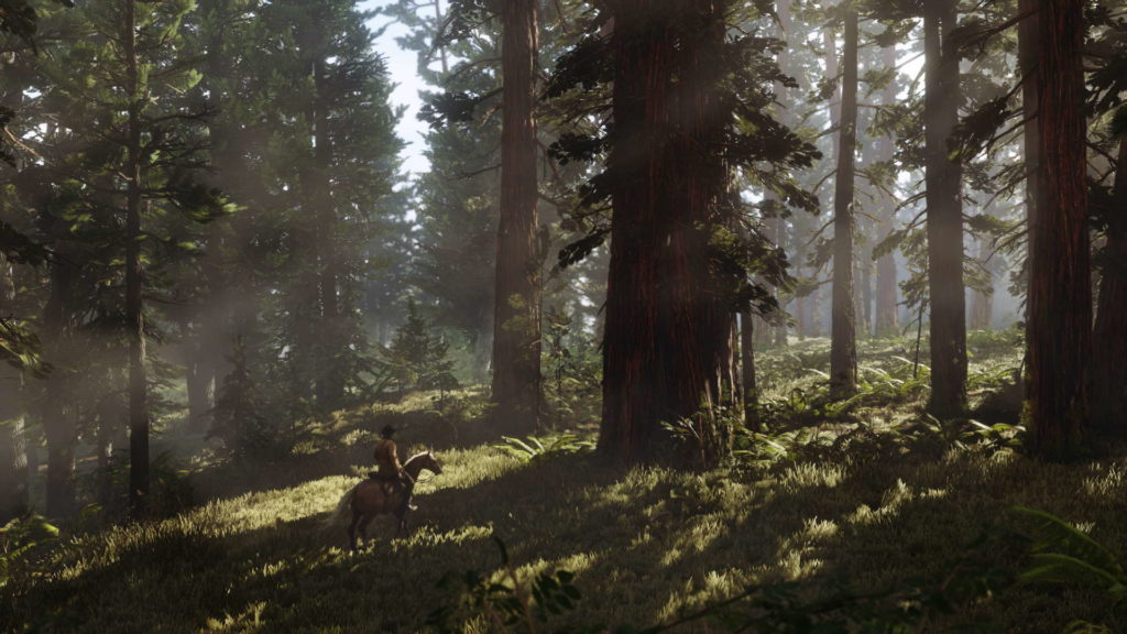 red-dead-redemption-2-wild-foret