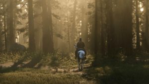 red-dead-redemption-2-foret