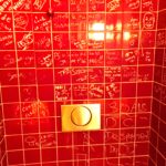 pedzouille-bassecour-toilettes